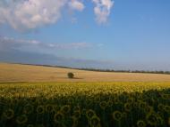 Адамівка з panoramio.com