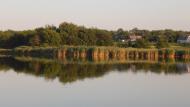 Звонецький Хутір з panoramio.com