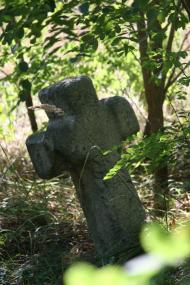 Трощин з panoramio.com