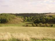 Ситники з panoramio.com