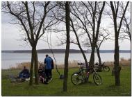 Макорти з panoramio.com