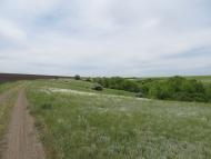 Макорти з panoramio.com