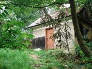 Язвинки з panoramio.com