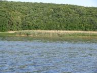 Рідний Край з panoramio.com