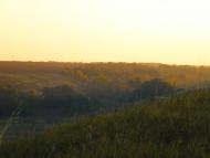 Рожаївка з panoramio.com