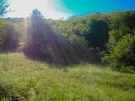 Грушківка з panoramio.com