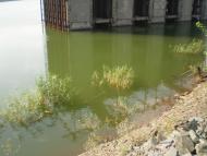 Лозуватка з panoramio.com