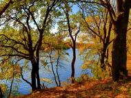 Данилове з panoramio.com