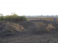 Карабинівські майдани