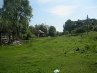 Demyanivka - Latest photos