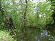 Микишівка з panoramio.com