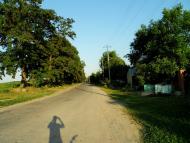 Зарванці з panoramio.com - Зарванці