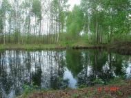 Уріччя з panoramio.com