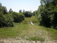 Слобода-Банилів з panoramio.com