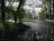 Новодар'ївка з panoramio.com