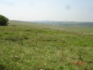 Динівці з panoramio.com