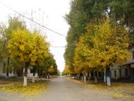 Зеленогірське з panoramio.com