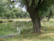 Гайове з panoramio.com