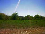 Дружне з panoramio.com