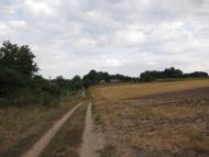 Головеньки з panoramio.com