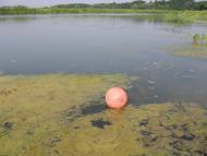 Старі Безрадичі з panoramio.com