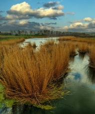 Булгаківка з panoramio.com