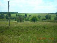 Орішанка - Останні фото