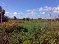 Карапиші з panoramio.com