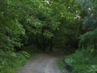 Жовте з panoramio.com