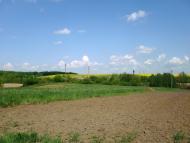 Чижівка з panoramio.com