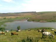 Сподобівка з panoramio.com