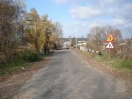 Дубовик з panoramio.com