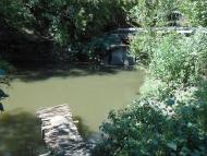 Кожевня - Останні фото