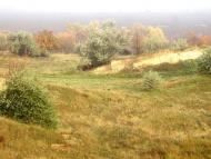 Романівка з panoramio.com - Романівка