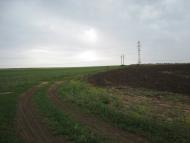 Стила з panoramio.com