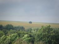 Великий Олександрів - Останні фото