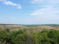 Барвінок з panoramio.com