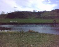 Лиса Гора з panoramio.com