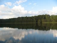 Піски-Річицькі з panoramio.com