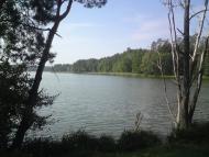 Лісне з panoramio.com