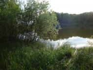 Бейзимівка з panoramio.com