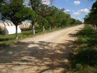 Скворцове з panoramio.com