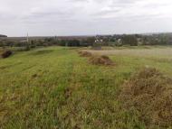 Чижівка з panoramio.com