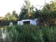 Новосілки з panoramio.com