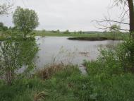 Дмитрівка - Останні фото