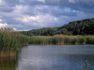 Старі Безрадичі з panoramio.com - Старые Безрадичи