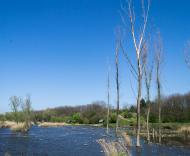 Нижня Хортиця з panoramio.com