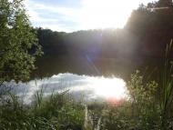 Бейзимівка з panoramio.com