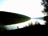 Рашків з panoramio.com