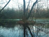 Волиця з panoramio.com